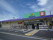 ウェルパーク川崎古川店 徒歩7分。ドラックストア 540m