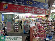 サンドラッグ川崎駅前大通り店 徒歩10分。ドラックストア 800m