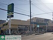マミーマート東大宮店 542m