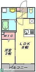 仮称)東大宮新築 1LDKの間取図画像