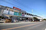 ザ・ダイソーヤオコー岩槻西町店 795m