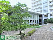パティオ：共用庭