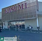 カスミフードスクエアフレスポ桶川坂田店 徒歩7分。 530m