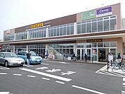 TSUTAYAサンリブきふね店(887m)