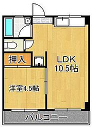 アベニュー片野 4階