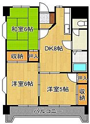 コーポ森川 8階/-