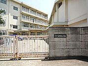 三郎丸小学校(770m)