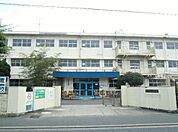 城野小学校(700m)