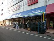 フーズセレクション 250m