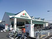 マルエツ 250m
