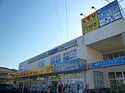どらっぐぱぱす 550m