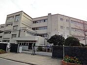 松戸市立八ケ崎小学校 340m