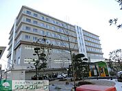 医療法人柏葉会柏戸病院 徒歩11分。 880m