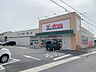 周辺：Vドラッグ豊川一宮店（780m）