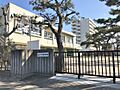 みどり保育園（...