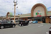 ドミー小坂井店（1450m）