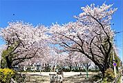小坂井中央公園（830m）