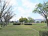 周辺：向山公園（250m）