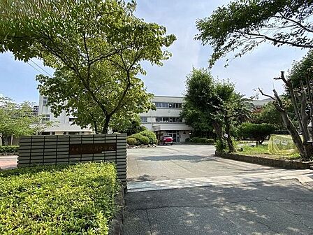 江南中学校 590m
