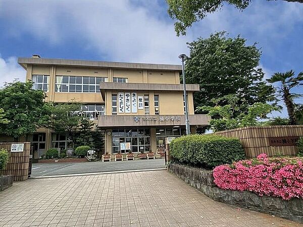 周辺を拡大表示