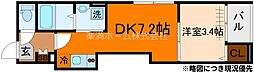Shin Residence京都(シンレジデンス京都) 1DKの間取図画像
