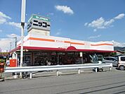 生鮮食品スーパー ニッコー 星田店（898m）