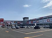 オプシアミスミ（1300m）