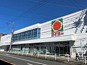 タイヨー伊敷店（1300m）