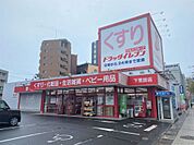 ドラッグイレブン下荒田店（450m）