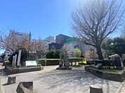 ザビエル公園（120m）
