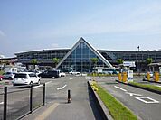 桜島フェリーターミナル（300m）