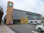 コープかごしま紫原店（700m）