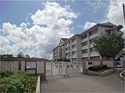 伊敷台小学校（70m）