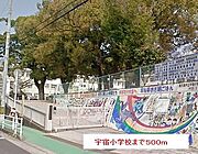 宇宿小学校まで500m