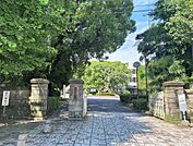 鹿児島県立短期大学（1200m）