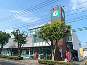 コープ紫原（631m）