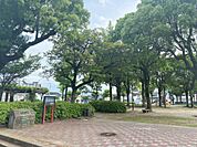 清見公園（50m）