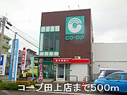 コープ田上店まで500m