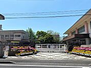 鴨池小学校（350m）