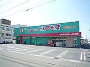 コスモス東郡元店（850m）
