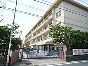 紫原中学校（384m）
