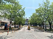 鹿児島大学教育学部（342m）