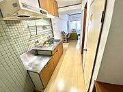 吊戸もあって収納充実．水切り棚もあります