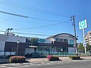 コープ鹿児島荒田店（50m）