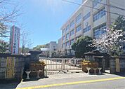 中郡小学校（500m）