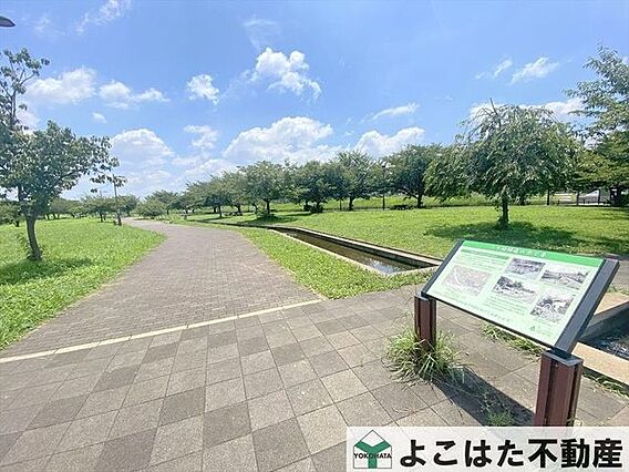 二ケ村緑道 徒...
