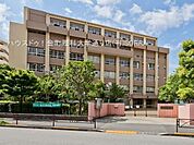 金町中学校 590m