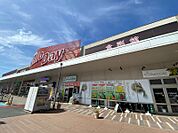 ハローデイ共立大前店 1612m