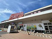 HalloDay(ハローデイ) 共立大前店 506m