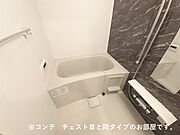 同タイプ